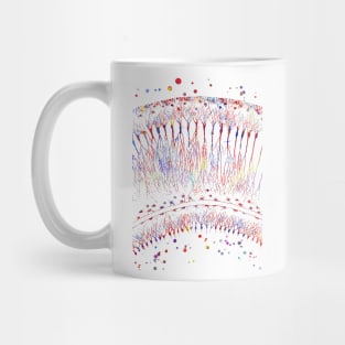 Cortical Neurons Mug